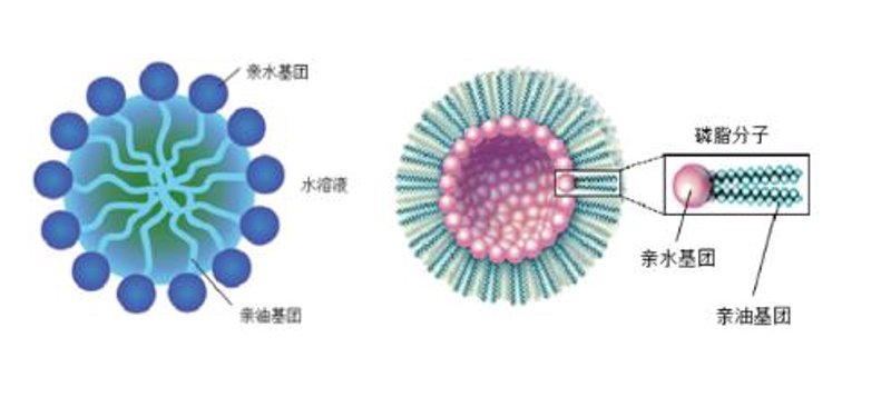 洗涤原料有哪些？一文揭秘清洁产品背后的核心成分